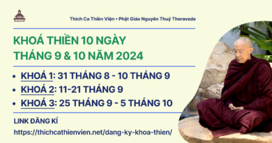 Những Lưu Ý Quan Trọng Trong Ngày 31 Tháng 1 Năm 2024